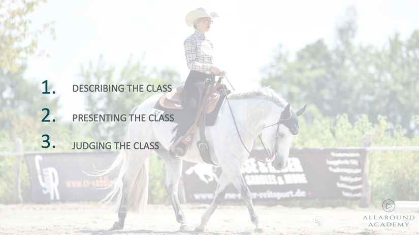 Webinar "Horsemanship: What does the judge wants to see?"